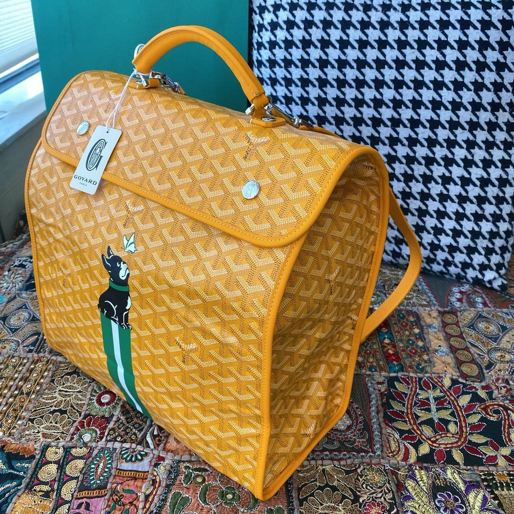 Goyard backpack bag Yellow and green
