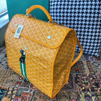 Goyard backpack bag Yellow and green