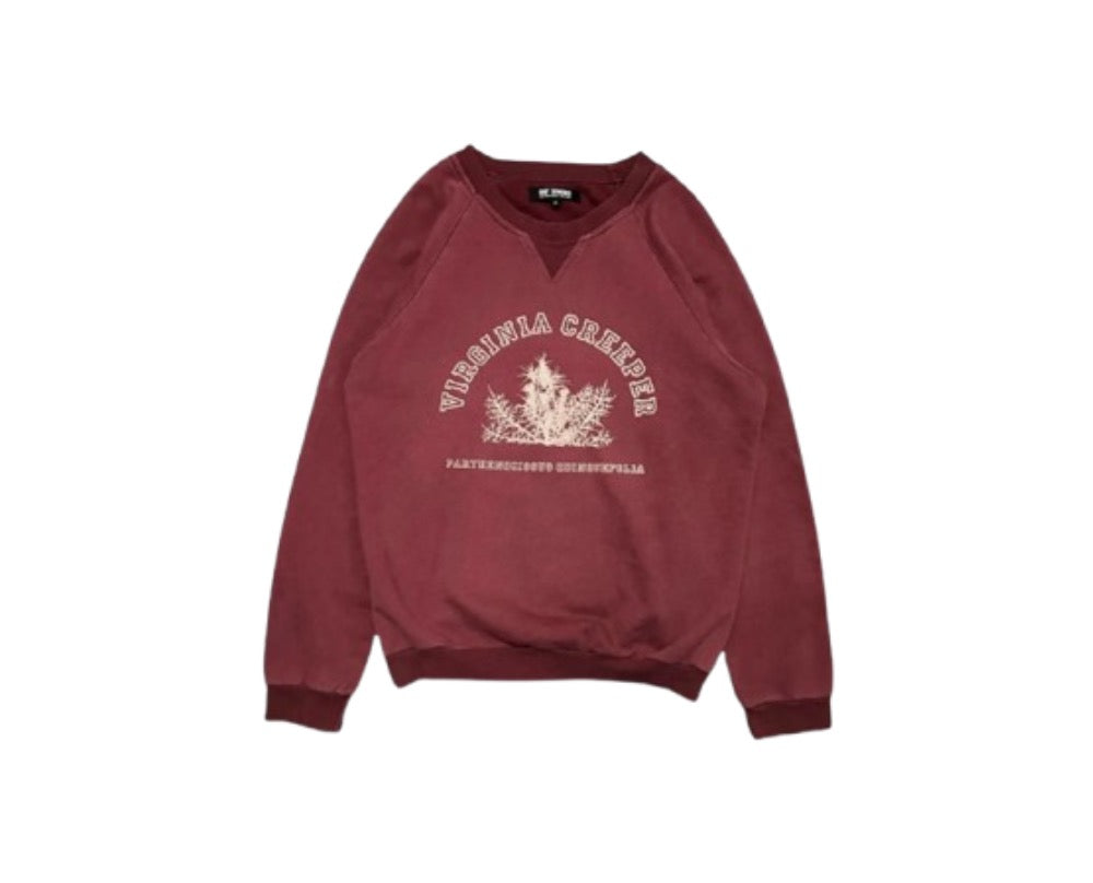 Raf simons Virginia creeper
