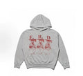 ERD gray hoodie