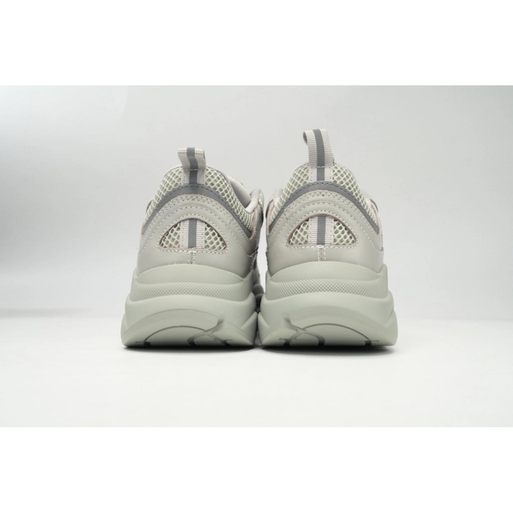 Dior gray B22