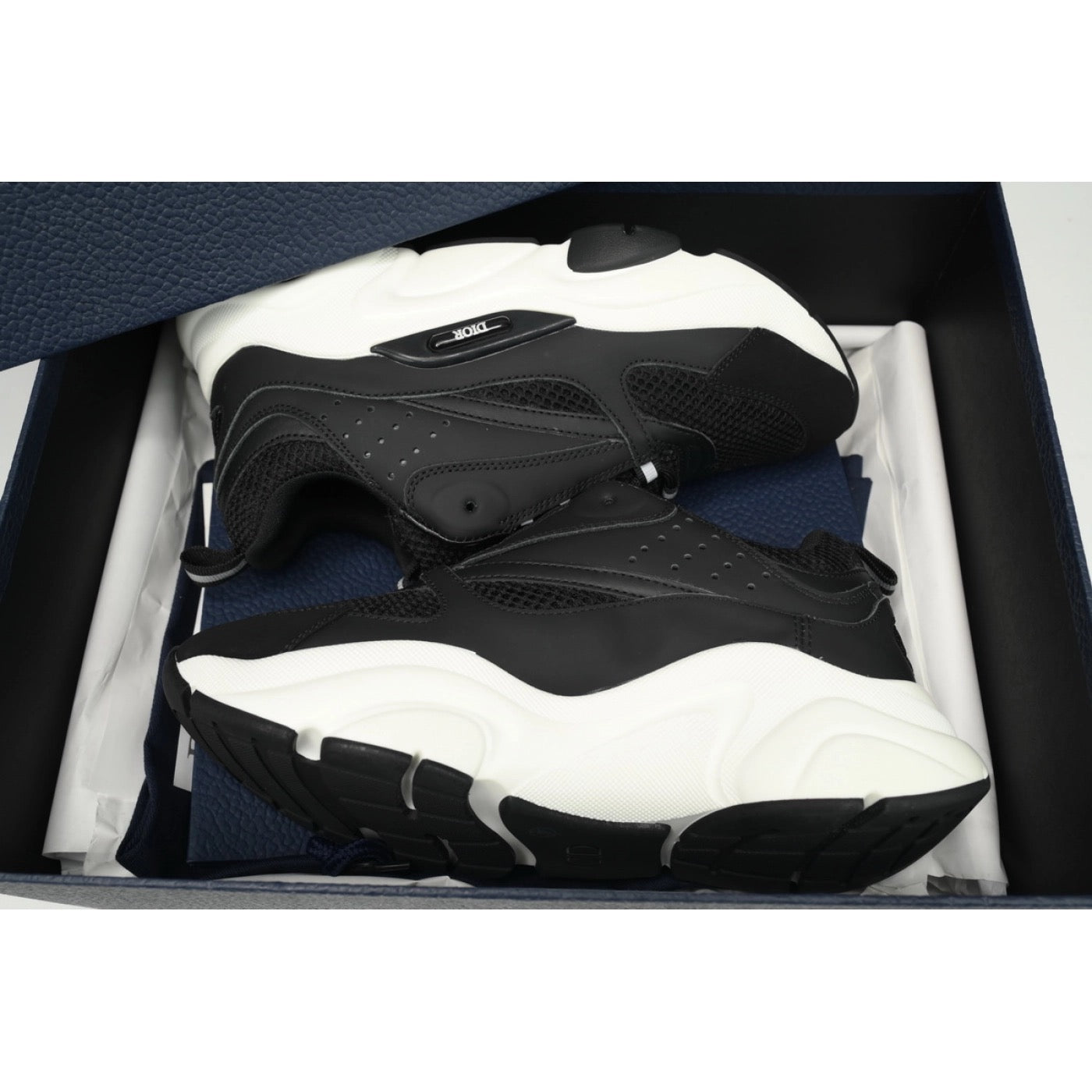 Dior Black and white B22