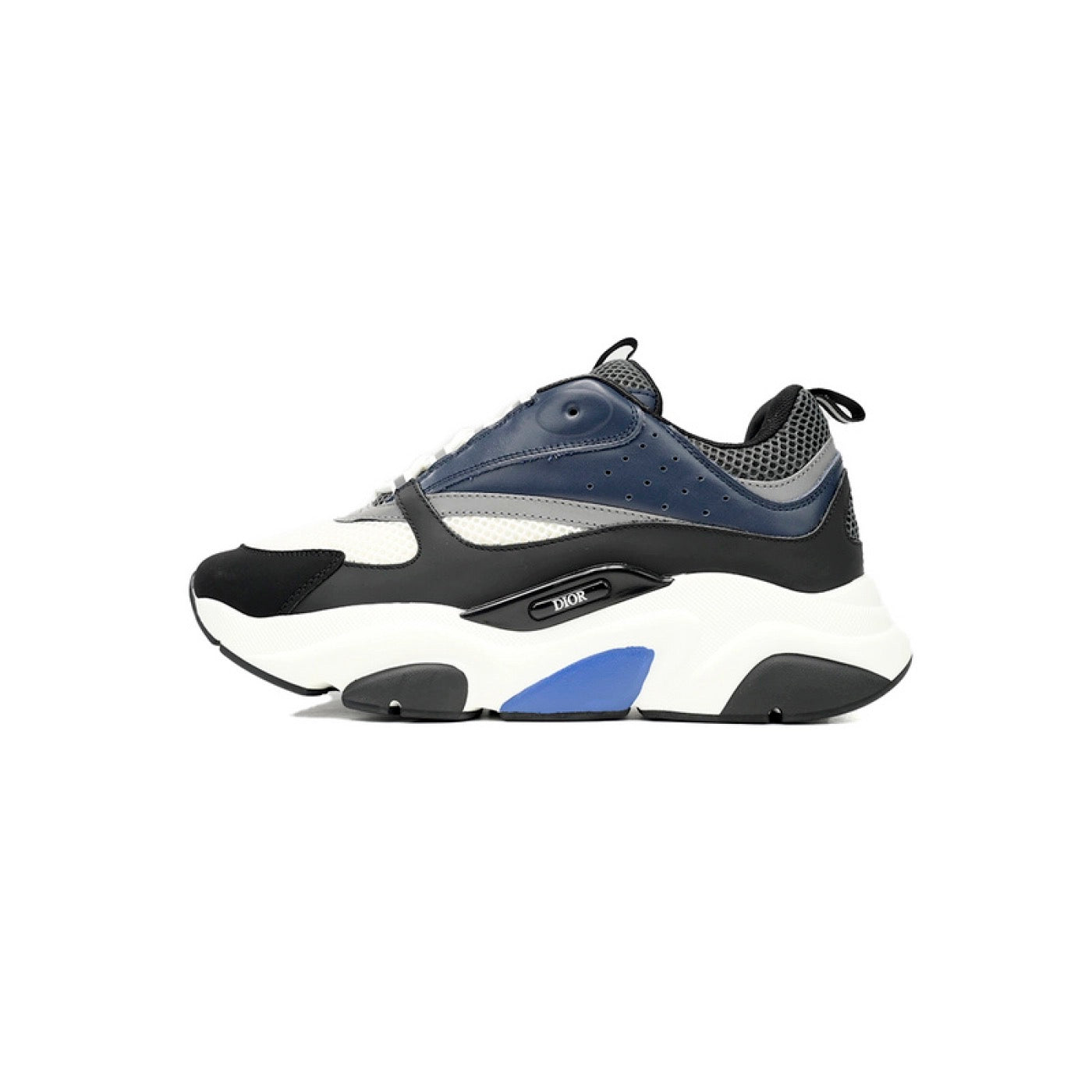 Dior Black and blue B22